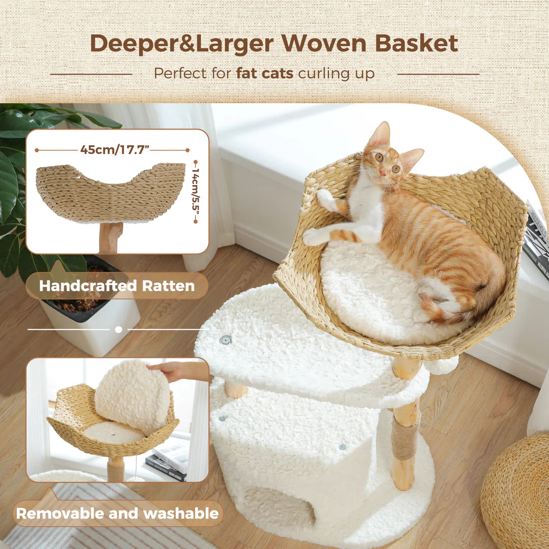 Cat sitting on a woven handcrafted ratten basket with text highlighting its features. The soft cushions are easily removable and washable