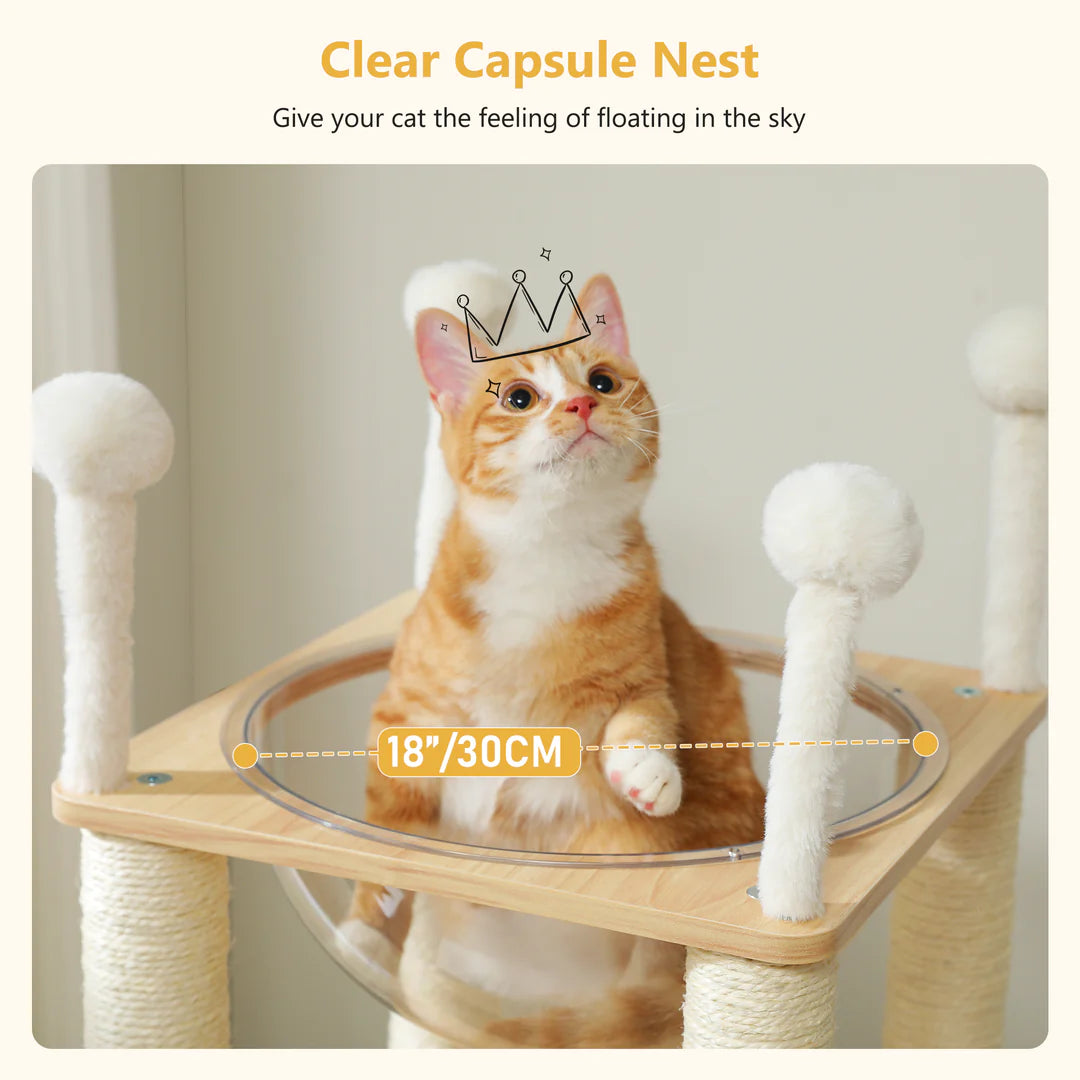 Cat sitting on a clear acrylic bowl capsule nest with text indicating its size and features. Cat tree by Catopia Co. Canada