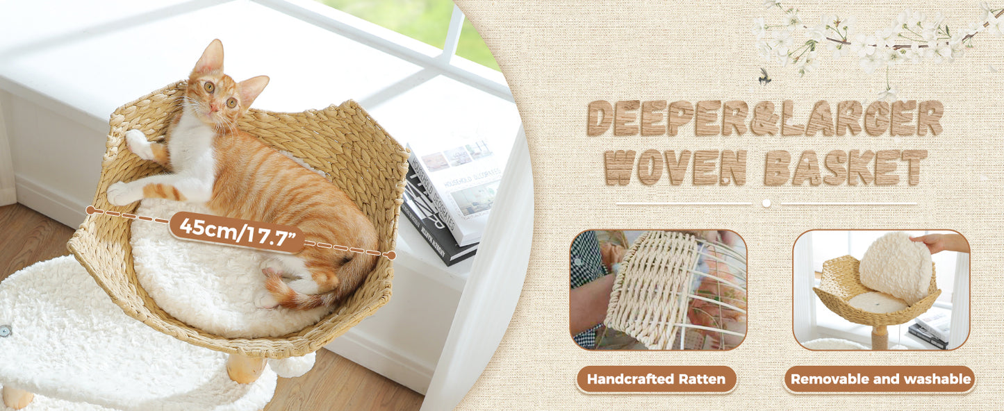Cat lying in a woven basket with product details and features displayed.