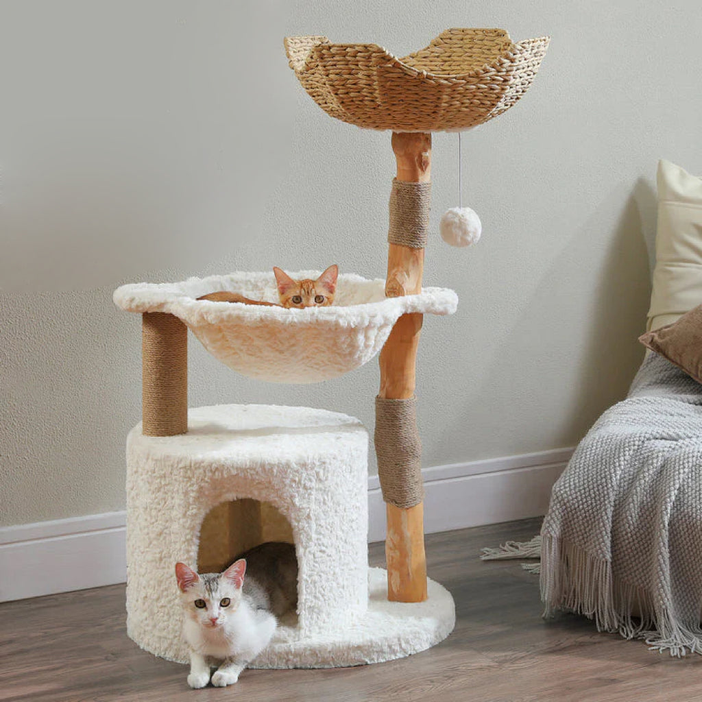 Catopia Co. Canada cat tree. Cat tree with two cats on different levels in a cozy minimalist aesthetic home setting. The cat tree features a large wicker basket, a sleeping cave, and a soft white hammock.