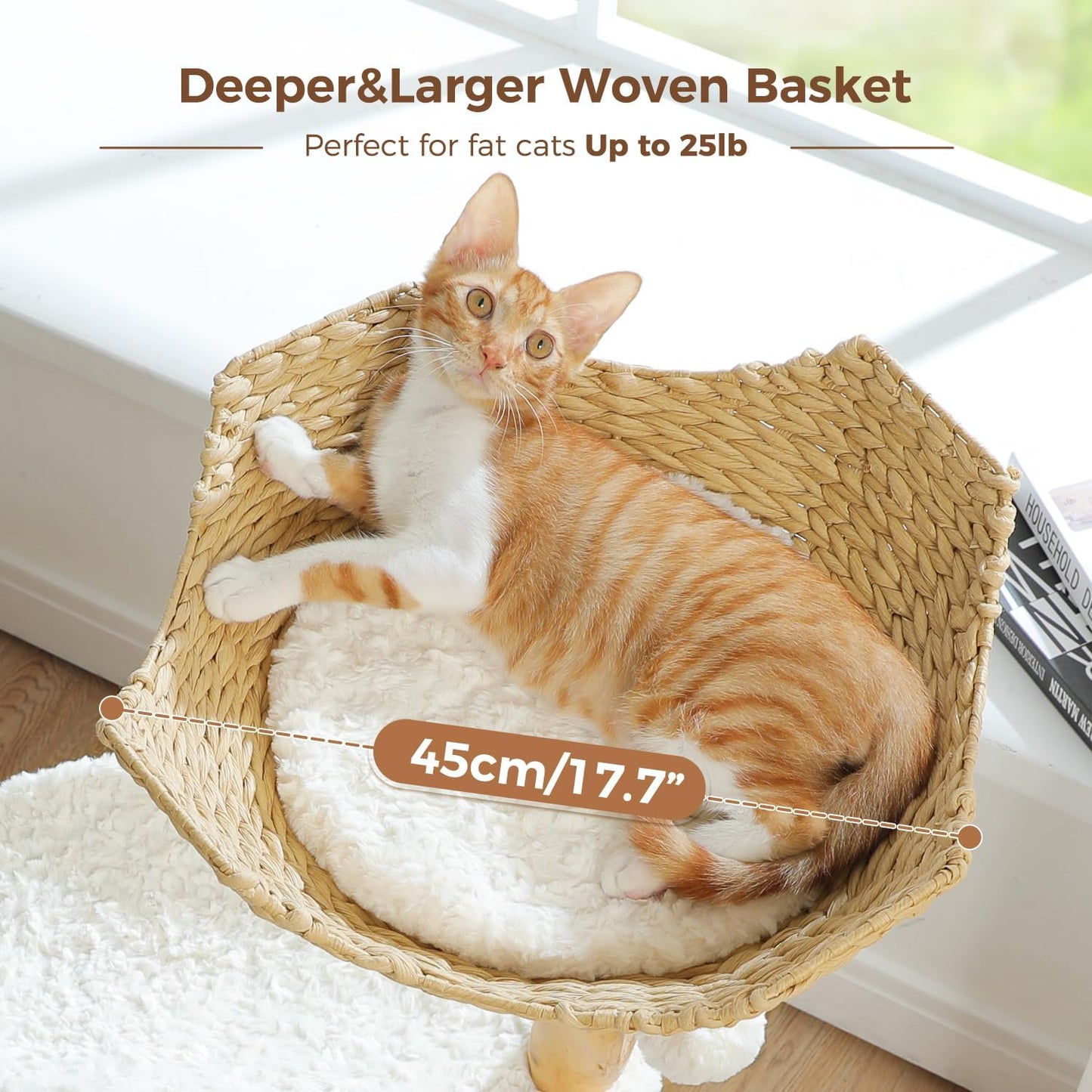 Cat lying in a woven basket with text indicating it's suitable for fat cats up to 25lb.