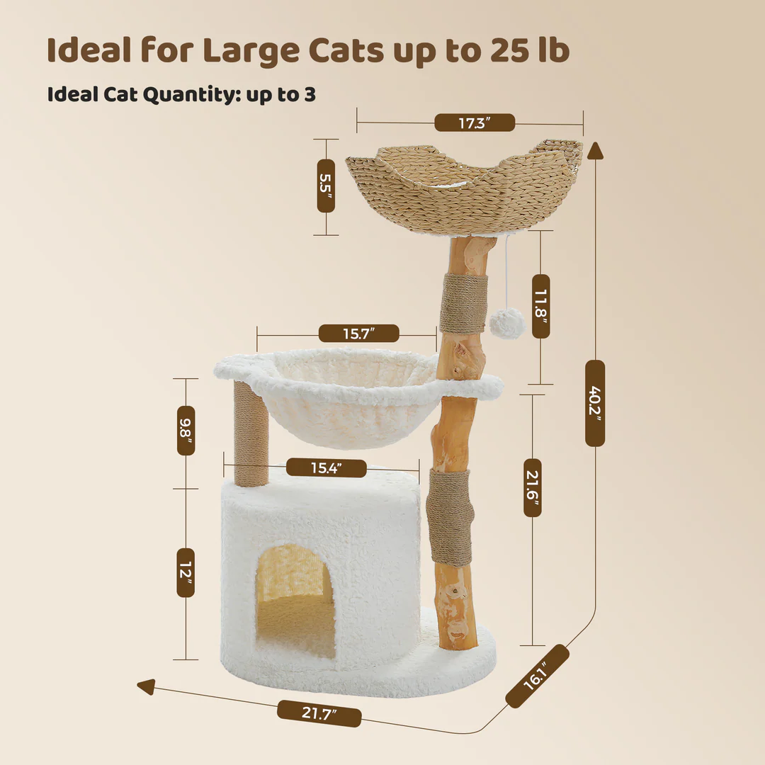 Cat tree with dimensions and text indicating ideal use for large cats up to 25 lb. Catopia Co. Canada cat tree.