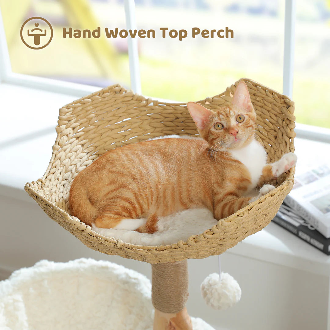 Cat lounging on a hand-woven rattan basket cat perch with a blurred background
