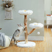Cat playing with a wooden cat tree in a home setting