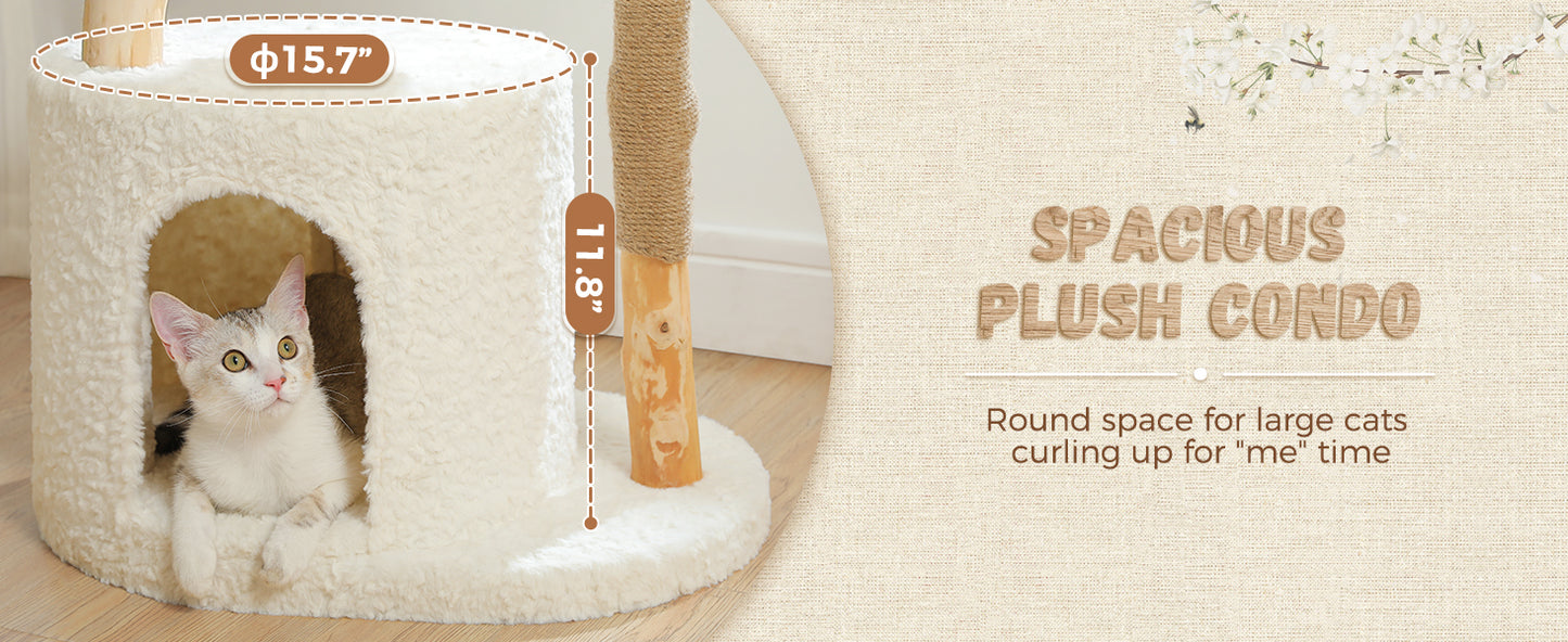 Cat sitting inside a plush cat condo with measurements and text on a light background