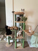 🐾 How to Find the Perfect Cat Tree for Your Cat 🐾