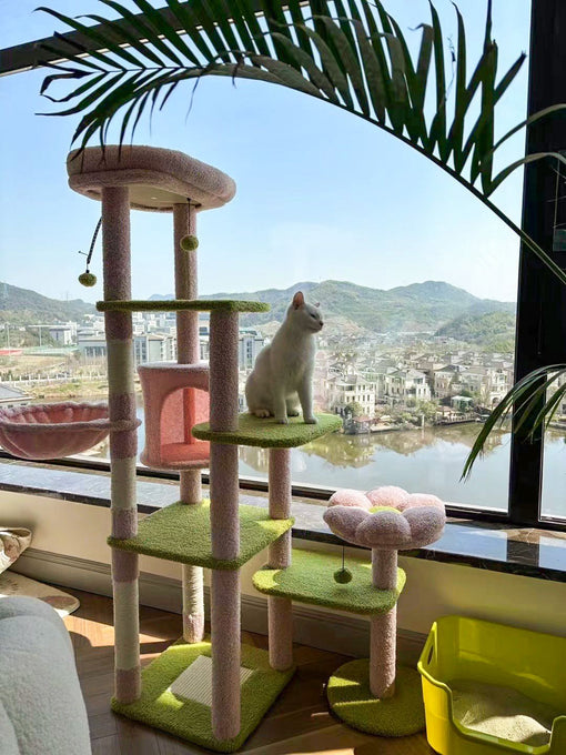 Why Are Cat Trees So Expensive in Canada?