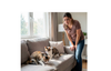 Tips & Tricks to Protect Your Furniture from Cat Scratches!