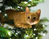 are christmas trees toxic to cats