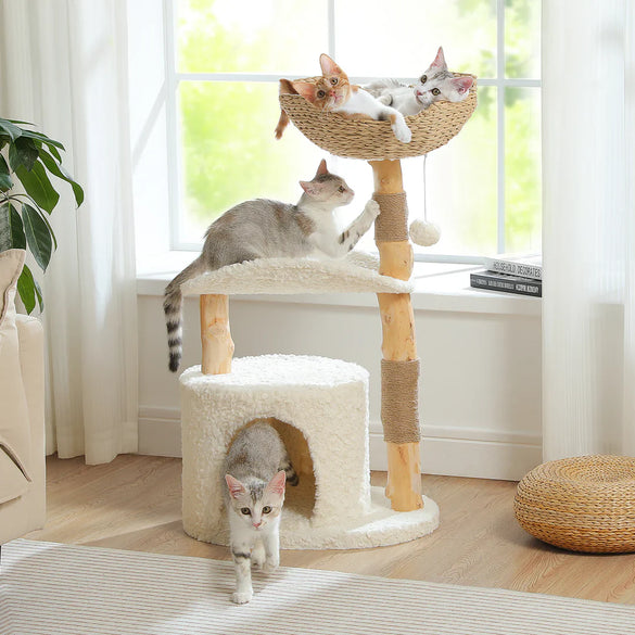 Cat Trees, Towers & Condos