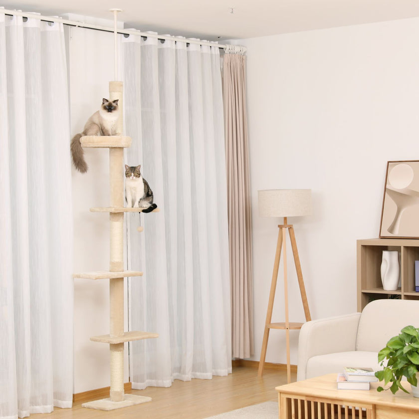 Cat tree in a living room with curtains and a sofa