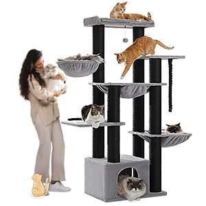 Woman holding a cat next to a multi-level extra large Catopia Co. Canada cat tree with multiple cats on different platforms. Suitable for Maine Coons