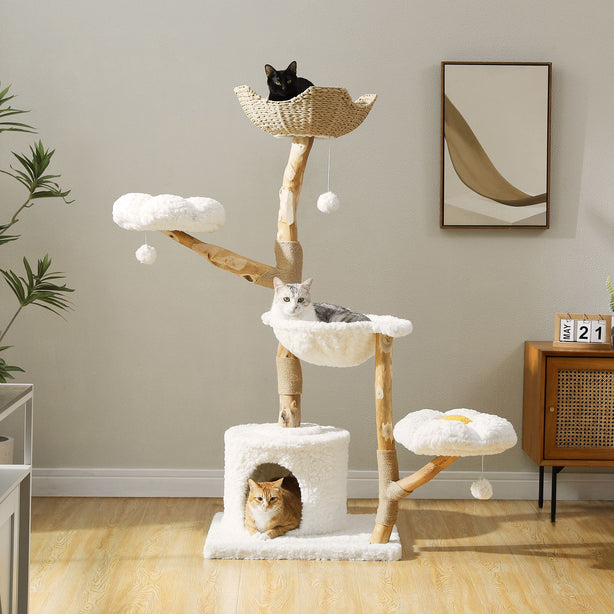 Cat tree with multiple levels and a cat on each level in a room setting.