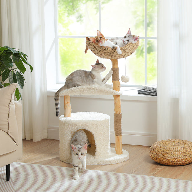 Natural Wood & Rattan Cat Tree Tower with Plush Condo and Curved Perch – Modern Cat Furniture Canada | Catopia Co.