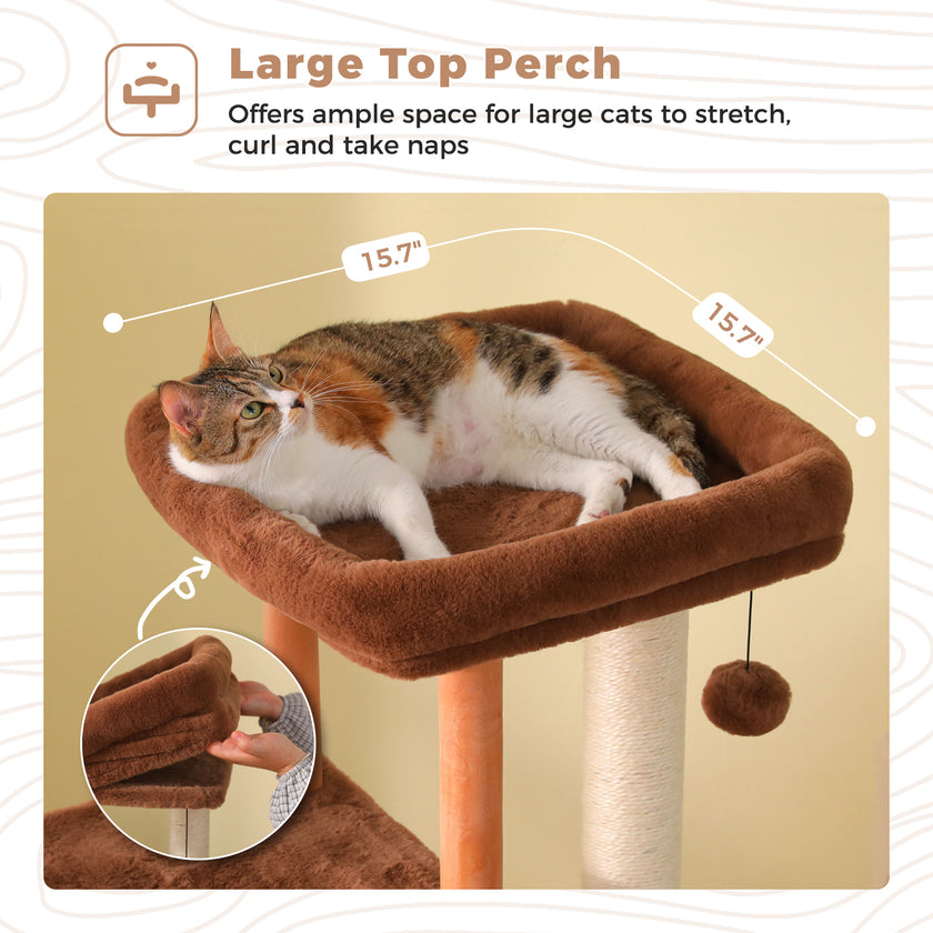 Cat resting on the large 40 by 40 cm padded top perch with raised edges on a wooden cat tree