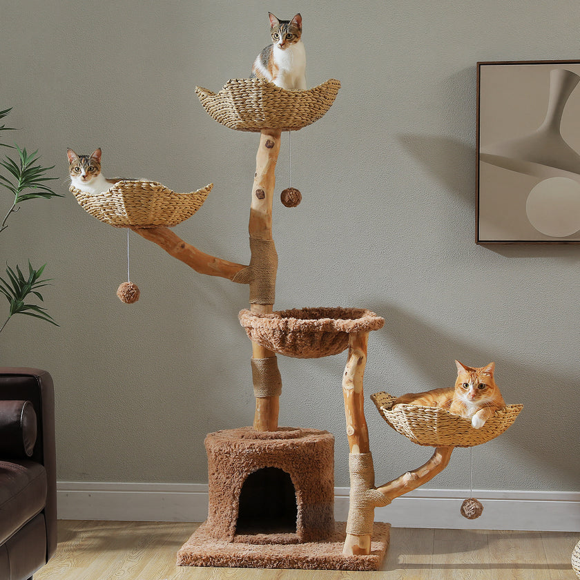Natural wood cat tree with three woven basket beds, a plush hammock, private condo, sisal scratching areas, and cats relaxing at different levels