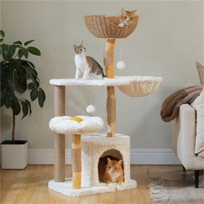 Cat tree with multiple levels and a basket, with cats on different levels in a home setting.