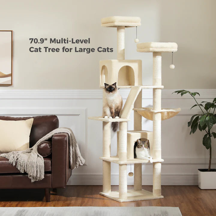 Multi-level cat tree for large cats in a living room setting with a cat sitting on it.