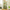 183cm Multi-Level Flower Cat Tree Large Cat Tower with Steel Frame Hammock and 7 Scratching Posts - Green