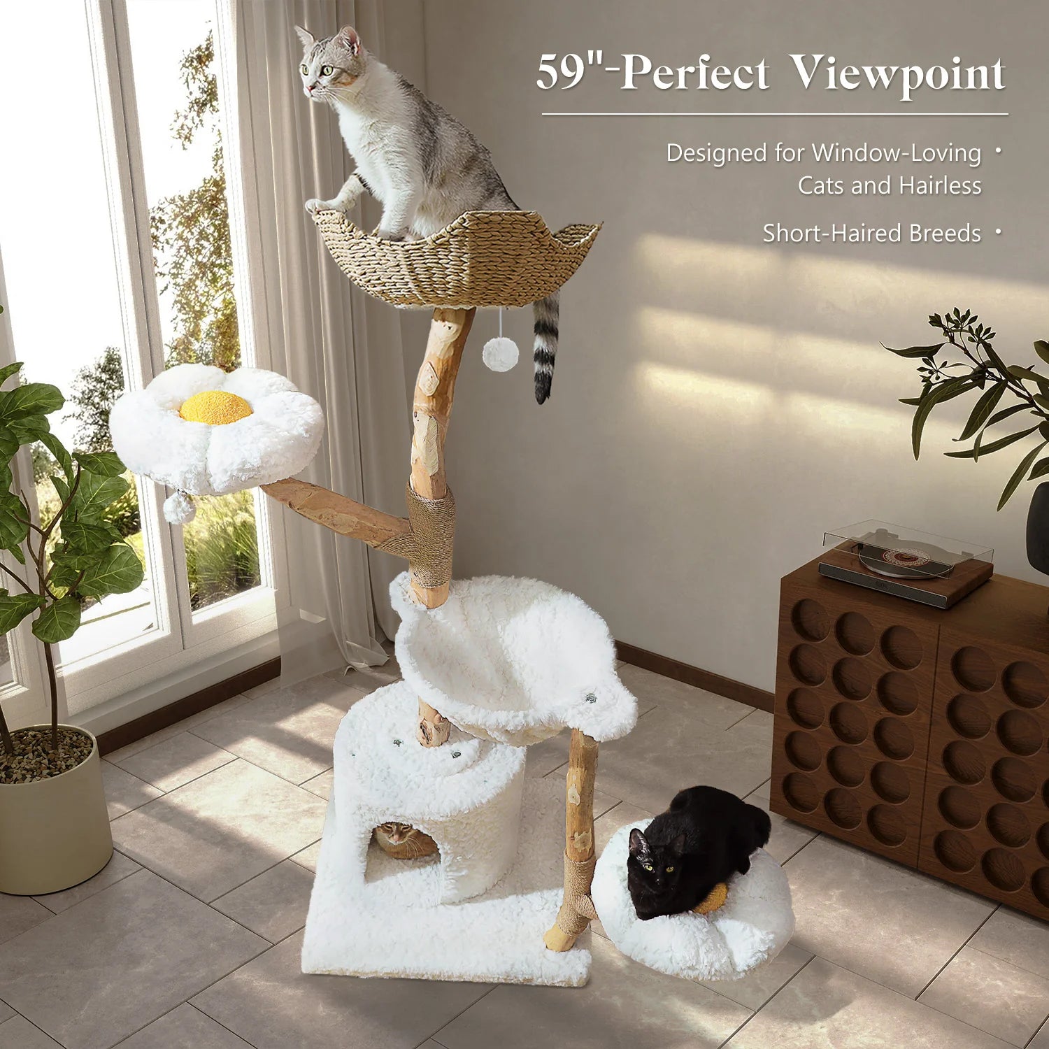 Cat tree with multiple levels and a cat sitting on top, in a room with a window and plants.