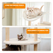 Natural Wood Multi-Level Cat Tower for Modern Homes – Catopia Co. Canada