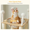 Cat sitting on a clear acrylic bowl capsule nest with text indicating its size and features. Cat tree by Catopia Co. Canada
