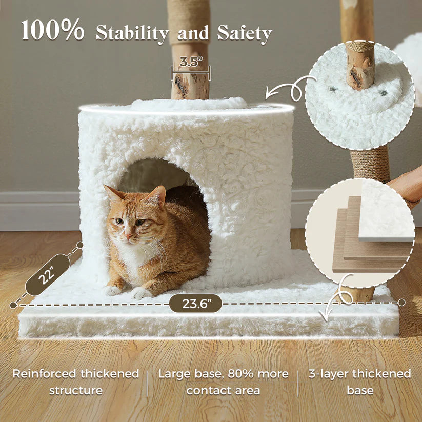 Cat playing with a white cat tree with measurements and stability features highlighted.