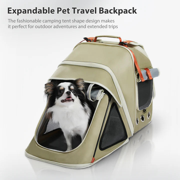 Expandable pet travel backpack with a dog inside on a white background