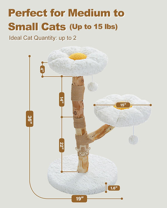 Cat tree with dimensions labeled for medium to small cats. Catopia Co. Canada cat tree. 