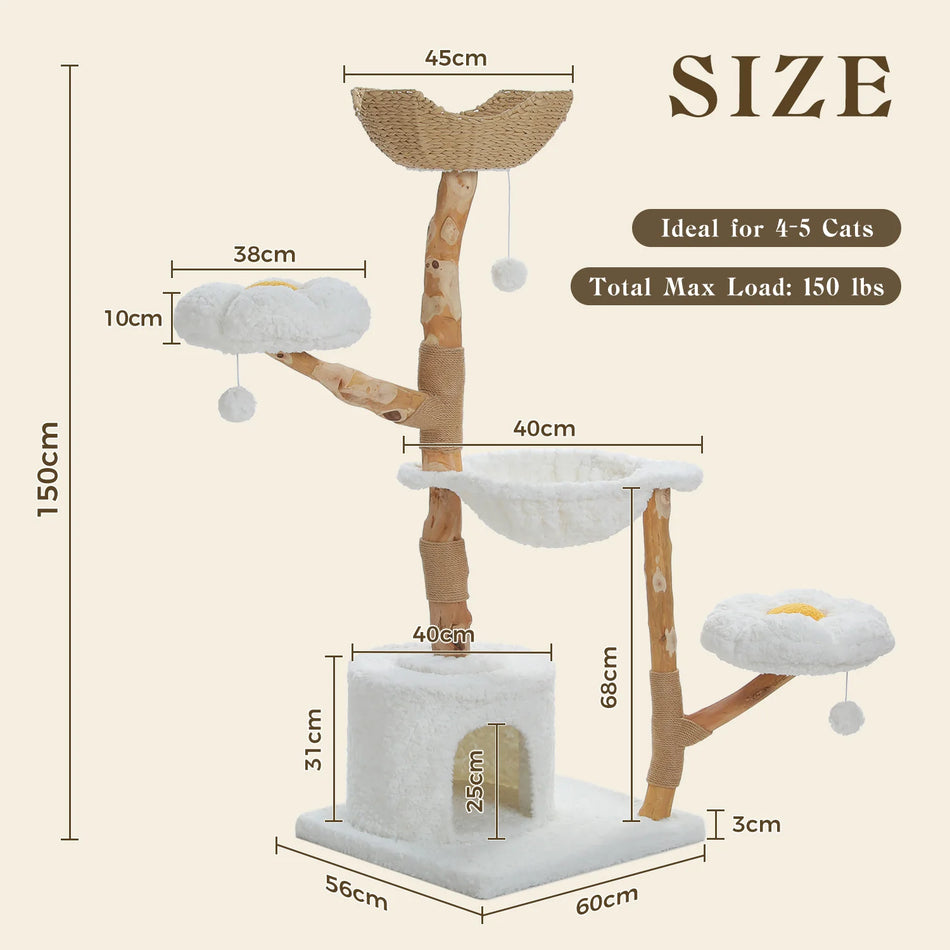 Measurement chart of a cat tree with dimensions and load capacity details.