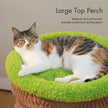 Cat relaxing on the large green padded top perch of a flower-themed cat tree