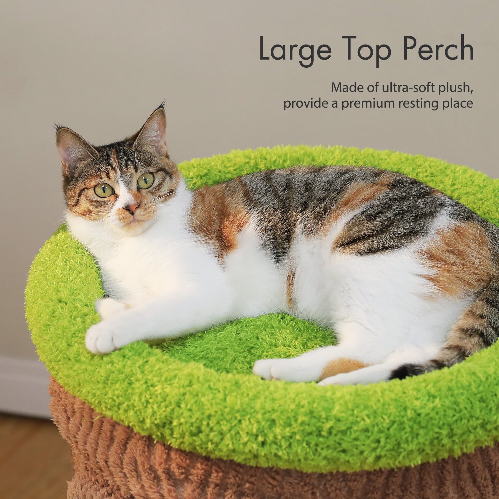 Cat relaxing on the large green padded top perch of a flower-themed cat tree