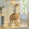 Catopia Co. Dinosaur-Shaped Cat Bed with 5 Sisal Scratching Posts
