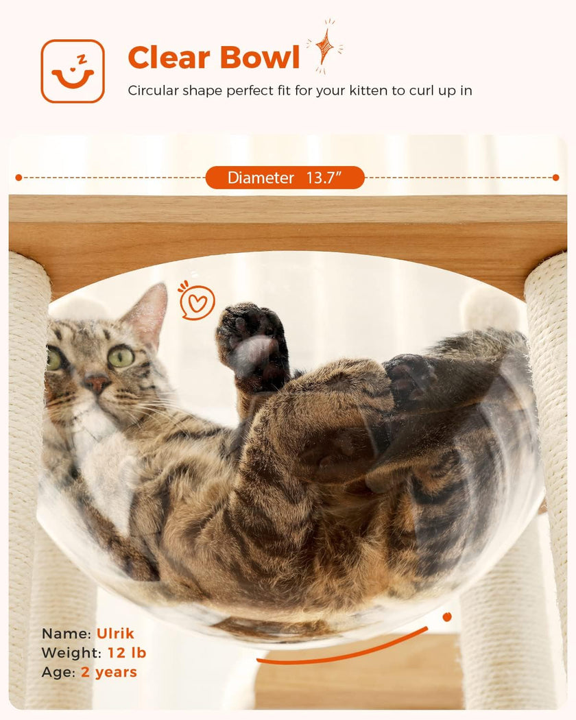 Cat lying in a Clear acrylic Bowl that is part of a wooden cat tree with product details on a white background