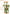 143cm Tall Cactus Cat Tree for Large Cats Adult with Large Top Perch with Plush Hammock - Green