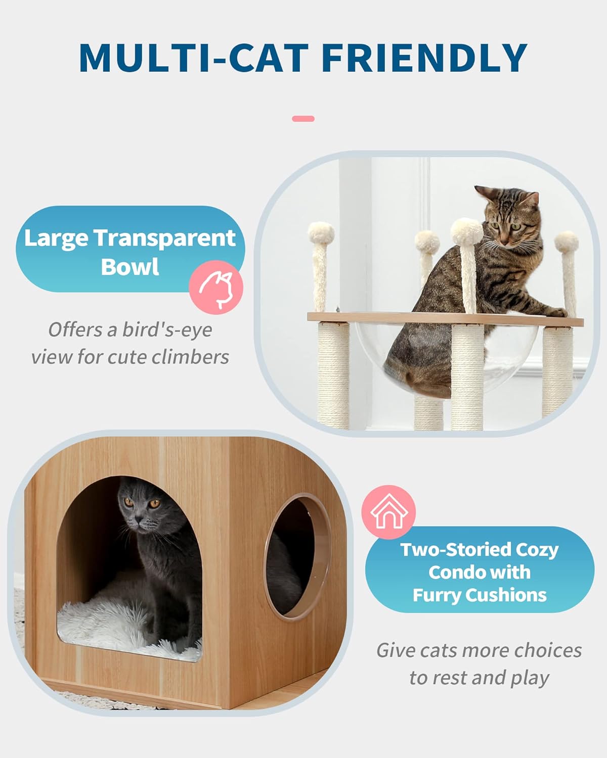 Cat furniture with large transparent bowl and two-storied cozy condo on a white background