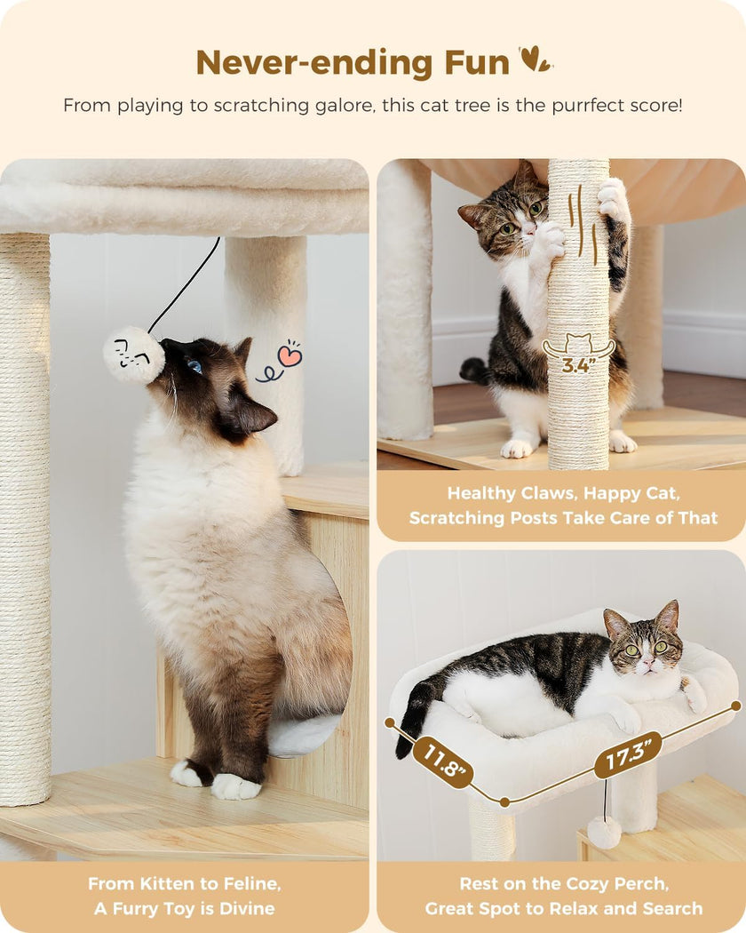 Cat tree with cats using it, featuring text about its benefits.