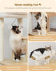 Catopia Co. Canada Cat tree with cats using it, featuring text about its benefits and measurement.