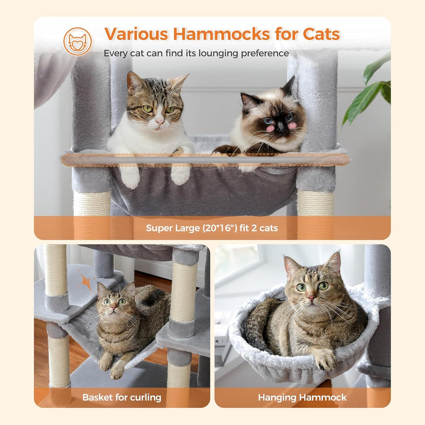 Cat hammocks and tree with two cats on a beige background