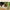 183cm Multi-Level Flower Cat Tree Large Cat Tower with Steel Frame Hammock and 7 Scratching Posts - Green