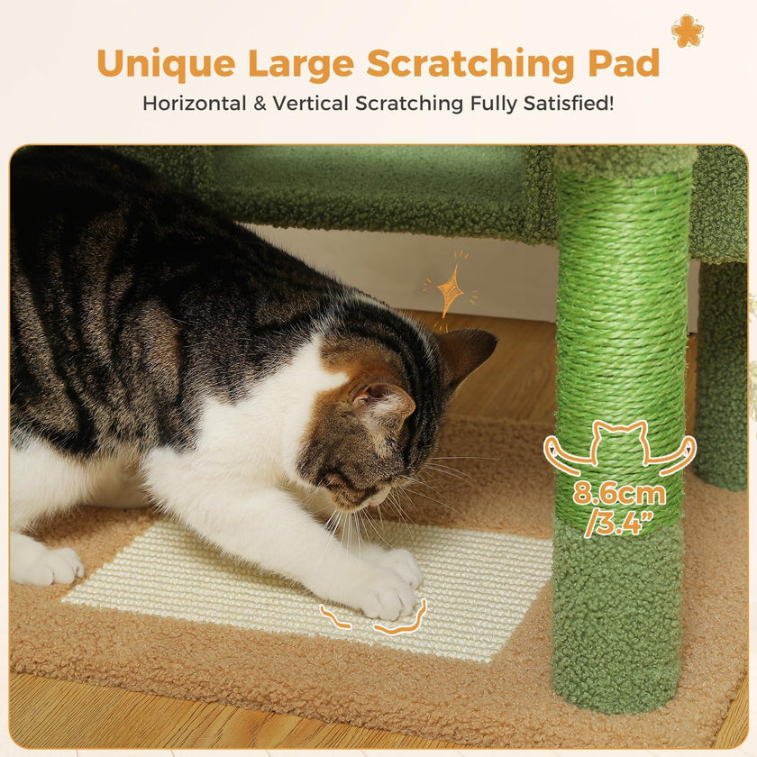 Cat using a green scratching pad with text indicating its size.