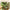 183cm Multi-Level Flower Cat Tree Large Cat Tower with Steel Frame Hammock and 7 Scratching Posts - Green