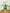 143cm Tall Cactus Cat Tree for Large Cats Adult with Large Top Perch with Plush Hammock - Green