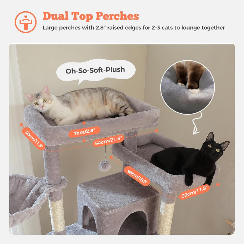 Cat tree with dual top perches and measurements, featuring two cats on the structure.