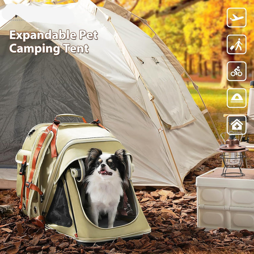Expandable pet camping tent with a dog inside, set up outdoors.