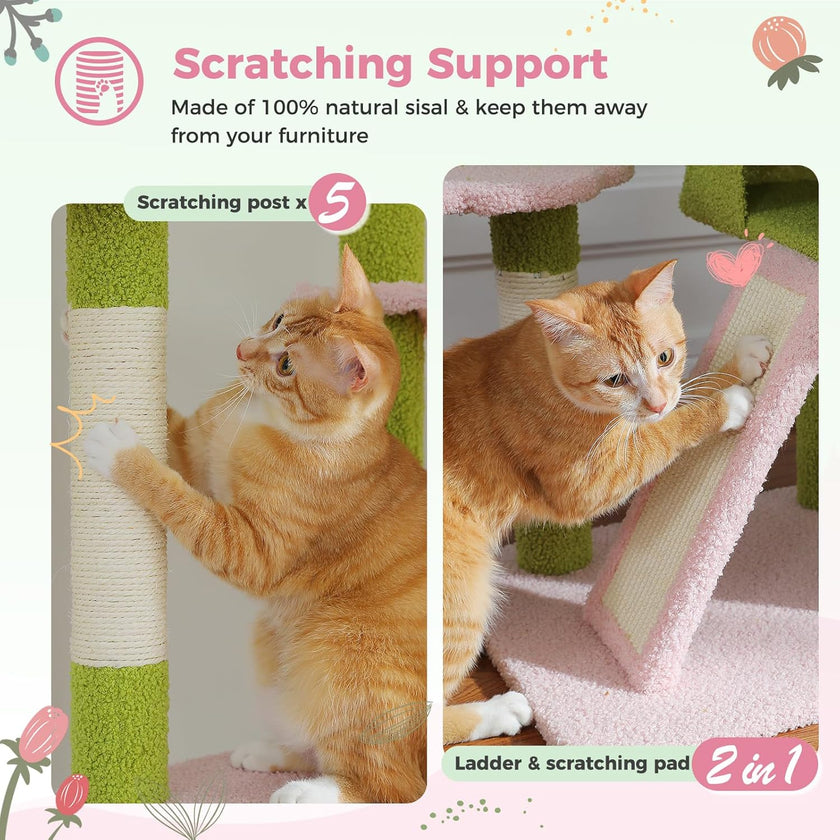 Cat using a scratching post and ladder with text about scratching support.