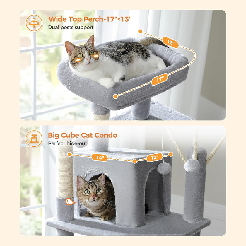 Cat sitting on a wide top perch and inside a big cube cat condo with measurements displayed.
