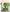 143cm Tall Cactus Cat Tree for Large Cats Adult with Large Top Perch with Plush Hammock - Green