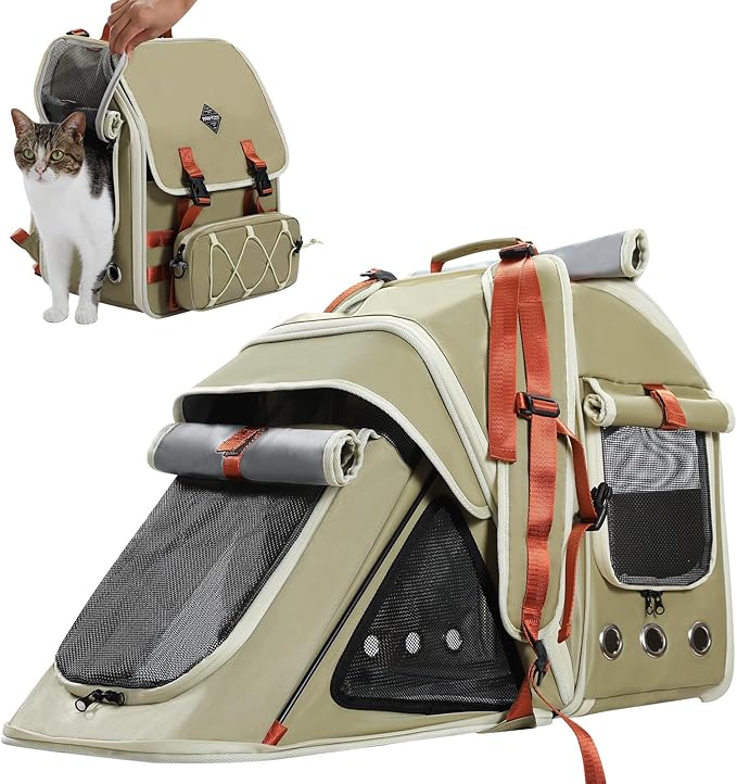 Pet carrier with a cat inside on a white background