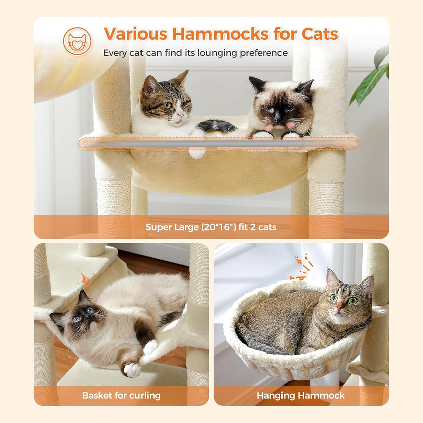 Cat hammocks with text on a white background